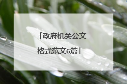 政府机关公文格式范文6篇