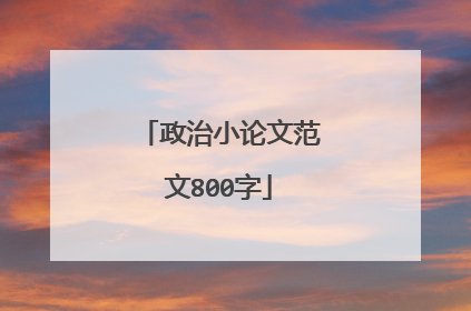 政治小论文范文800字