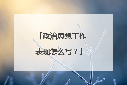 政治思想工作表现怎么写？