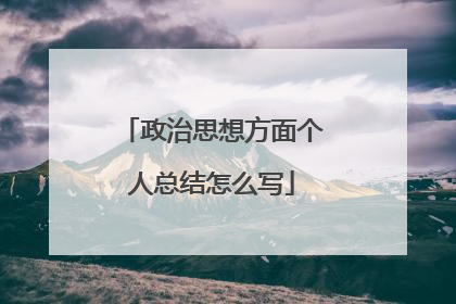 政治思想方面个人总结怎么写