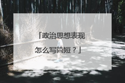 政治思想表现怎么写简短？