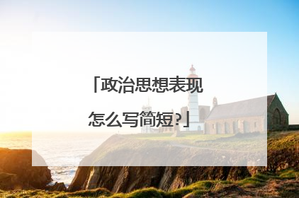 政治思想表现怎么写简短?