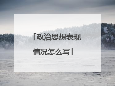 政治思想表现情况怎么写