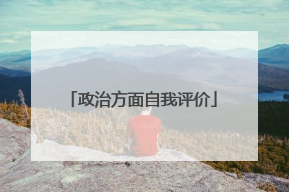 政治方面自我评价