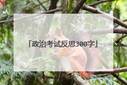 政治考试反思300字