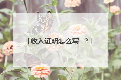 收入证明怎么写 ？