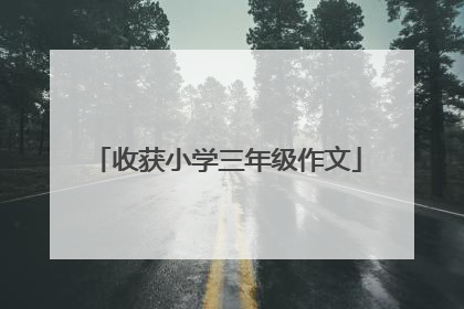 收获小学三年级作文