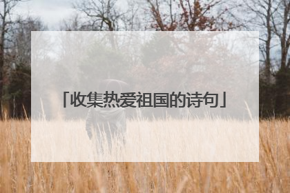 收集热爱祖国的诗句