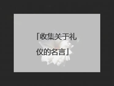 收集关于礼仪的名言