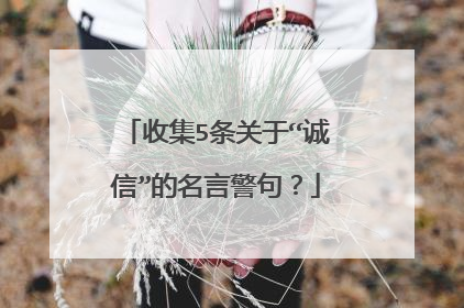 收集5条关于“诚信”的名言警句？