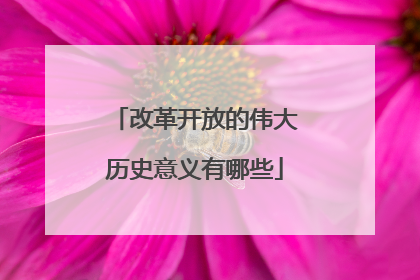 改革开放的伟大历史意义有哪些