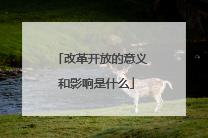 改革开放的意义和影响是什么