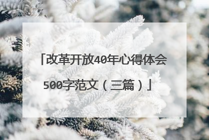 改革开放40年心得体会500字范文(三篇)
