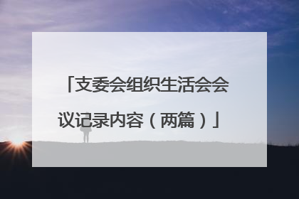 支委会组织生活会会议记录内容(两篇)