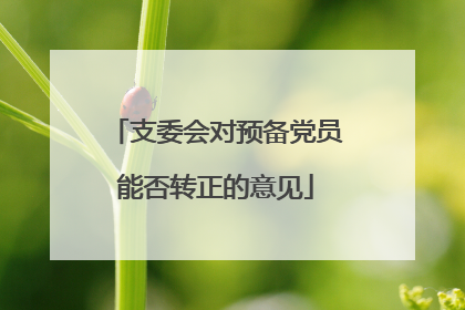 支委会对预备党员能否转正的意见