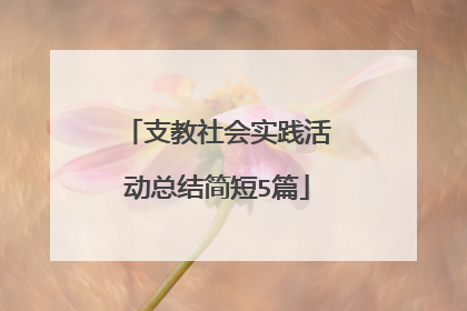 支教社会实践活动总结简短5篇