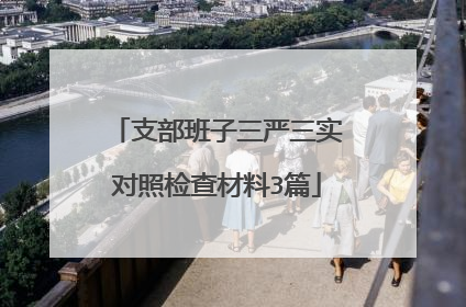 支部班子三严三实对照检查材料3篇