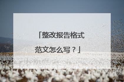 整改报告格式范文怎么写?
