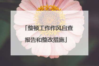 整顿工作作风自查报告和整改措施