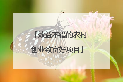 效益不错的农村创业致富好项目