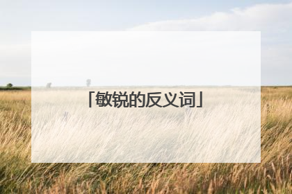 敏锐的反义词