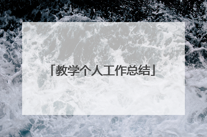 教学个人工作总结