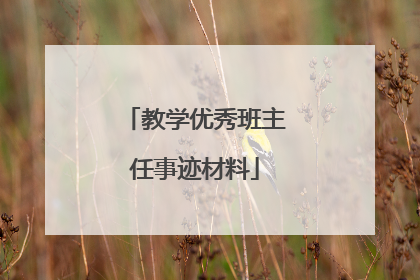 教学优秀班主任事迹材料