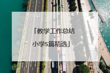 教学工作总结小学5篇精选