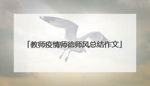 教师疫情师德师风总结作文