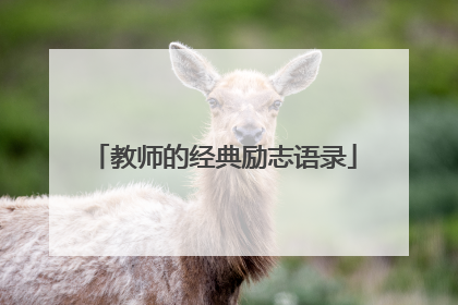 教师的经典励志语录