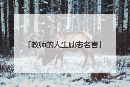 教师的人生励志名言