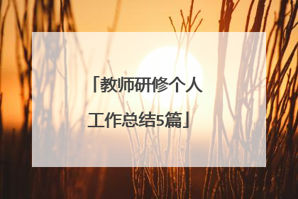 教师研修个人工作总结5篇