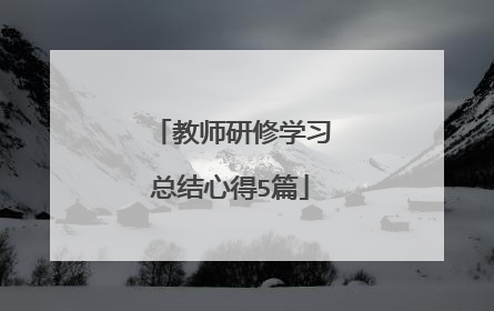 教师研修学习总结心得5篇