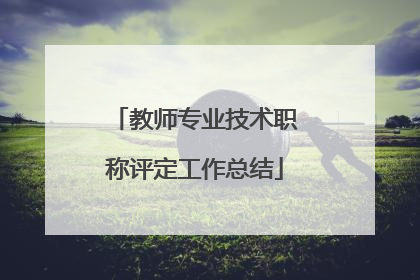 教师专业技术职称评定工作总结