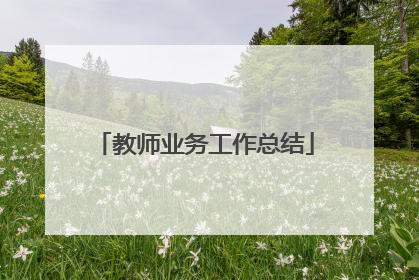 教师业务工作总结