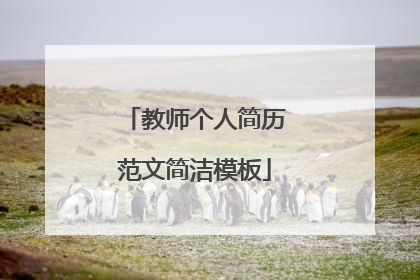 教师个人简历范文简洁模板