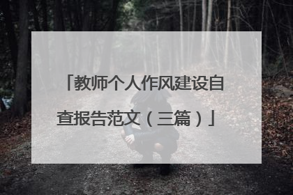 教师个人作风建设自查报告范文(三篇)