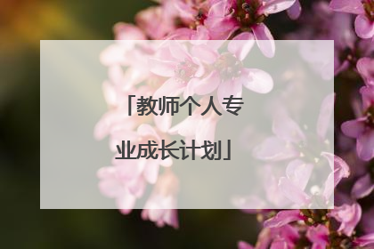 教师个人专业成长计划