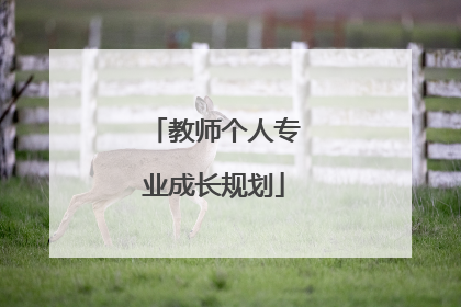 教师个人专业成长规划