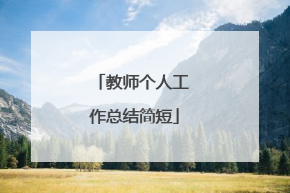 教师个人工作总结简短
