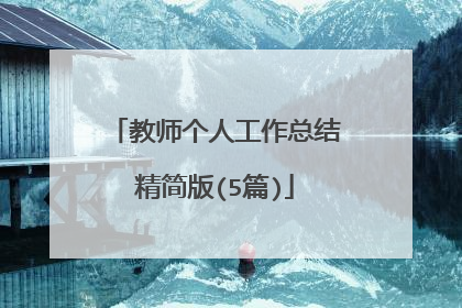 教师个人工作总结精简版(5篇)