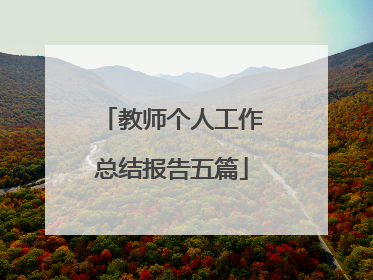 教师个人工作总结报告五篇