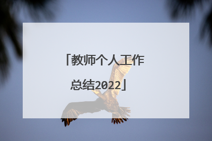 教师个人工作总结2022