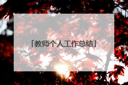 教师个人工作总结