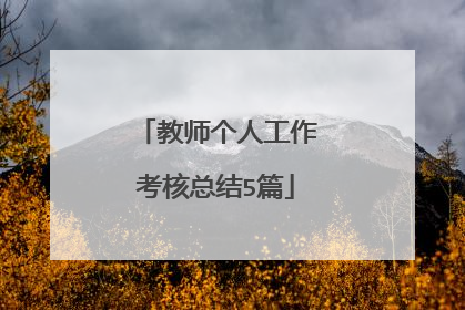 教师个人工作考核总结5篇
