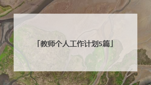 教师个人工作计划5篇