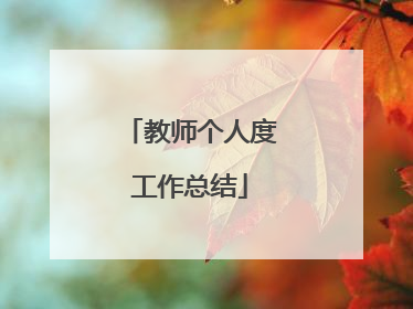 教师个人度工作总结