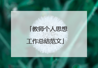教师个人思想工作总结范文