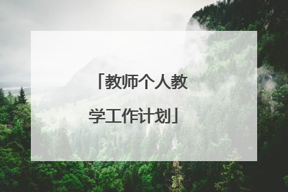 教师个人教学工作计划
