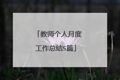 教师个人月度工作总结5篇